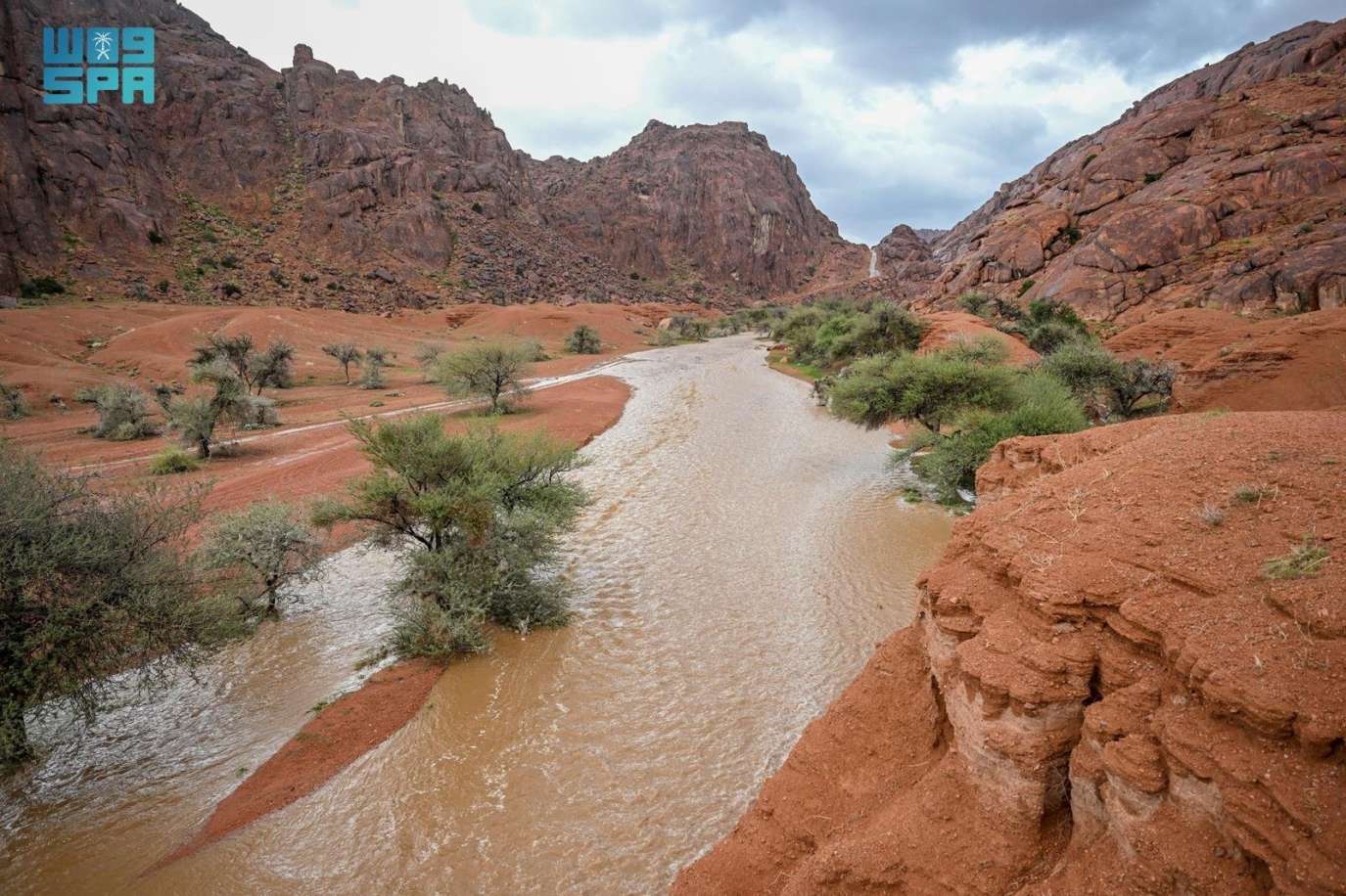 دراسة للأرصاد السعودية: ازدياد وتيرة هطول الأمطار في كافة أنحاء البلاد بصورة غير مسبوقة