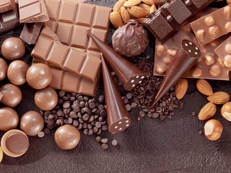 حشرة “البق” تُهدد الشوكولاتة