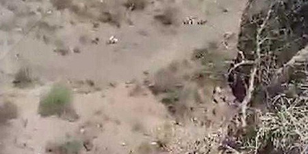   حادث مروع.. مقتل وإصابة 7 أشخاص إثر سقوط سيارة من منحدر سحيق بصنعاء خلال عودتهم 