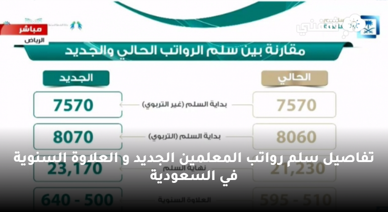 رواتب المدرسين في السعودية: كل ما تحتاج معرفته