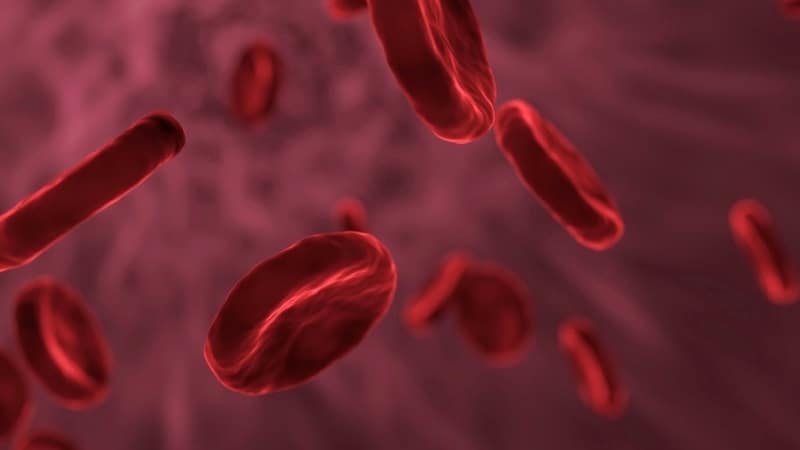 بكتيريا جديدة تُحدث ثورة في نقل الدم!