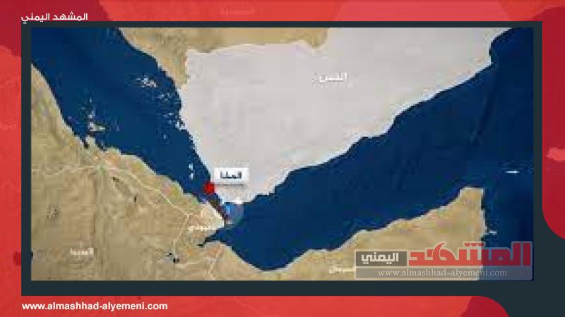 الحوثيون يعلنون استعدادهم لدعم إيران في حرب إقليمية: تصعيد التوتر في المنطقة بعد هجمات على السفن