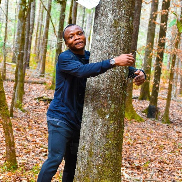 ناشط بيئي يحطم الرقم القياسي باحتضان 1123 شجرة في ساعة واحدة
