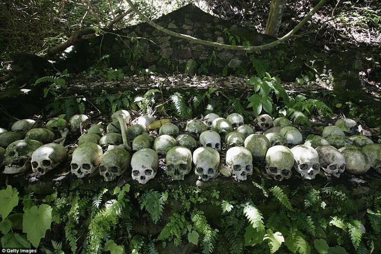   طقوس غريبة لدفن الموتى في قرية ترونيان الإندونيسية: شجرة مقدسة وأقفاص من الخيزران 