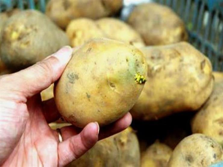 تحذير من تناول البطاطس الخضراء بسبب “السولانين”