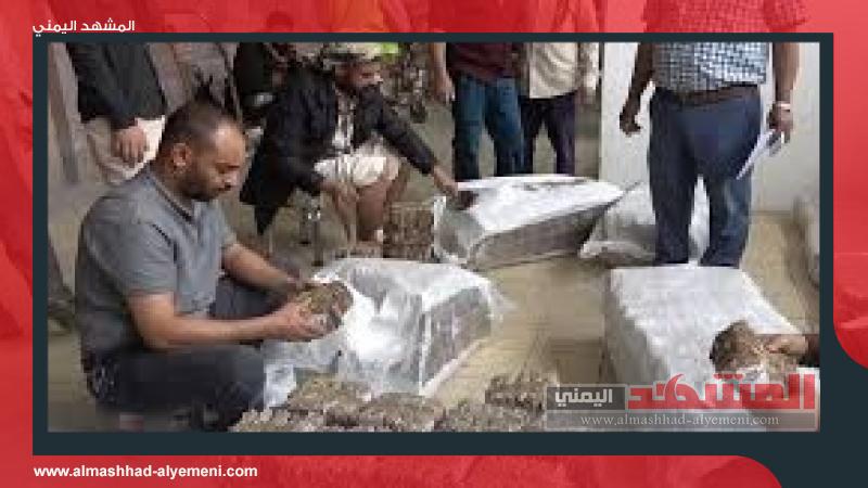 ”الحوثيون ينظمون مزادات لشراء العملة: تجاوزات غير مسبوقة في التاريخ المصرفي”
