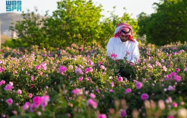   
                                إعلان تسجيل الورد الطائفي في قائمة اليونسكو للتراث الثقافي غير المادي.. إليكم التفاصيل

                             