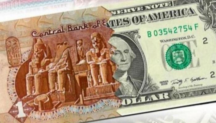  سعر الدولار اليوم في مصر الجمعة 24 يناير 2025.. الأخضر متراجع 