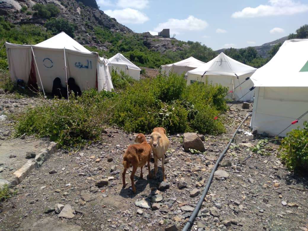 مليشيا الحوثي الإرهابية تستهدف الأعيان المدنية شمال غرب المسيمير الحواشب