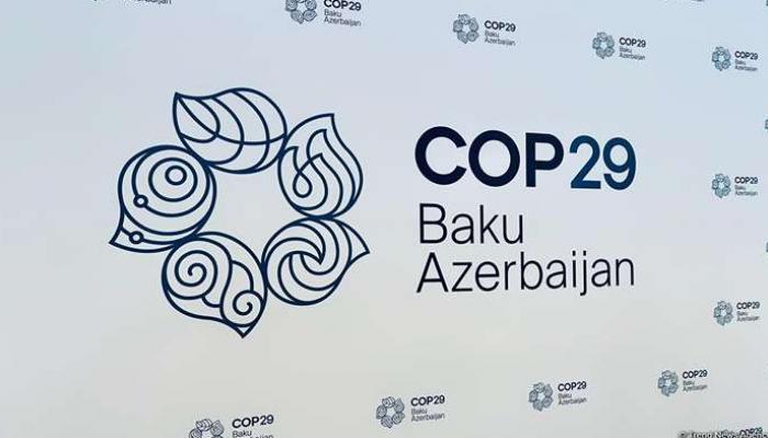  COP29.. التعاون الأذربيجاني الروسي ركيزة حيوية للأمن الغذائي الإقليمي 