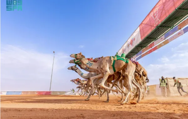   
                                قائمة أسماء الفائزين بالمراكز الأولى بجائزة الملك عبدالعزيز لسباقات الهجن

                             